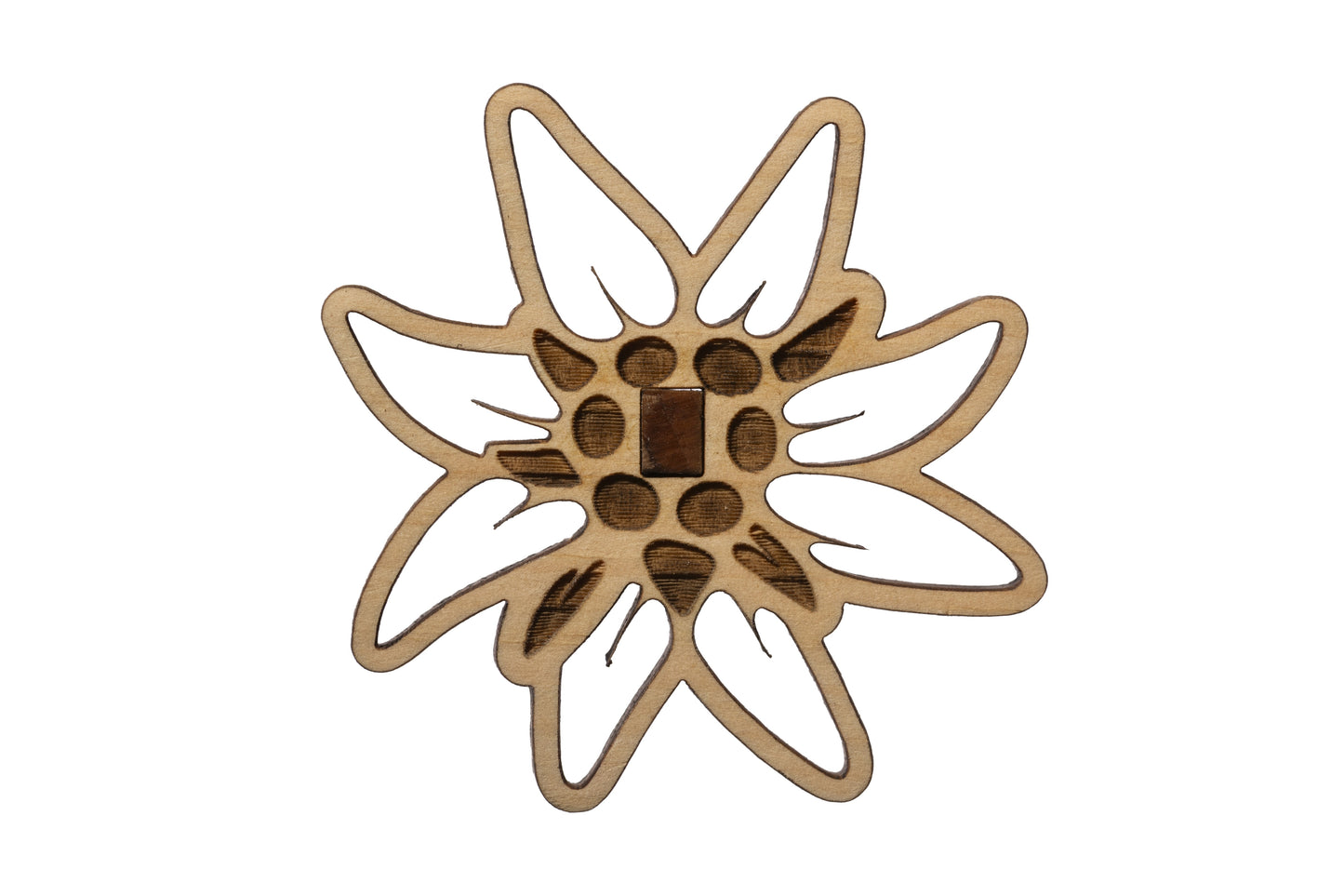 cArve Edelweiss