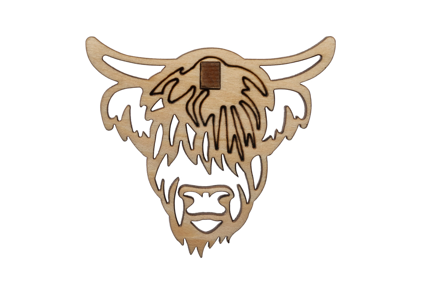 cArve Hochlandrind